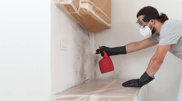 Professional Basement Mold Removal technician working in Richfield, MN