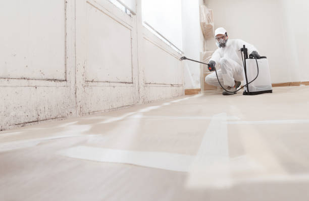 24/7 Emergency Basement Mold Removal experts in Richfield, MN