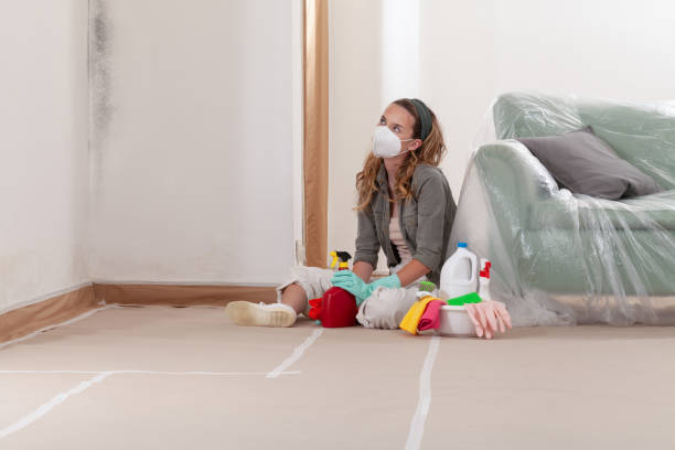 Reliable Basement Mold Removal contractor in Richfield, MN by WQB Mold Removal